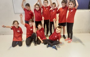 Compétition Eveil et Poussin à Luçon